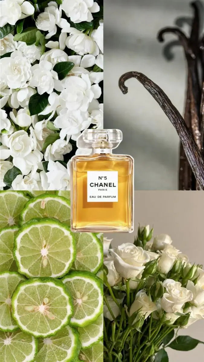 615247907-160199266-transferir_1.webp__PID:2c6b0213-c1a9-47c9-b7d9-b00d918366c3